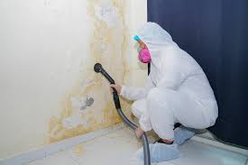 Best Black Mold Removal  in Aviston, IL